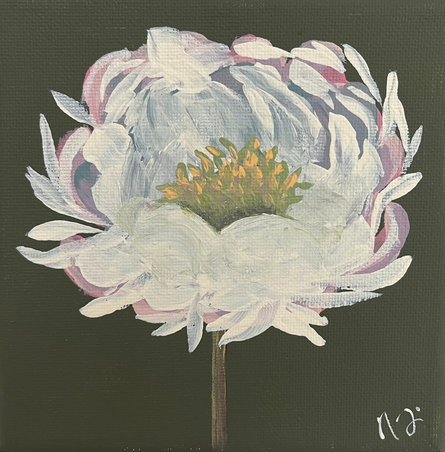 Winter Peony | Giclée Art Print