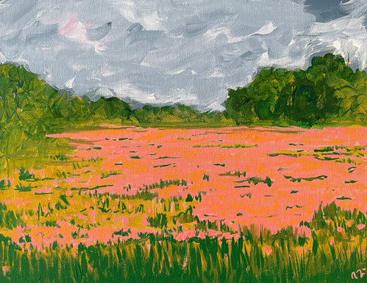 Field of Indian Paintbrushes | Giclée Art Print