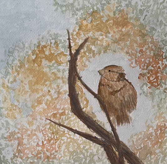 Sparrow 2